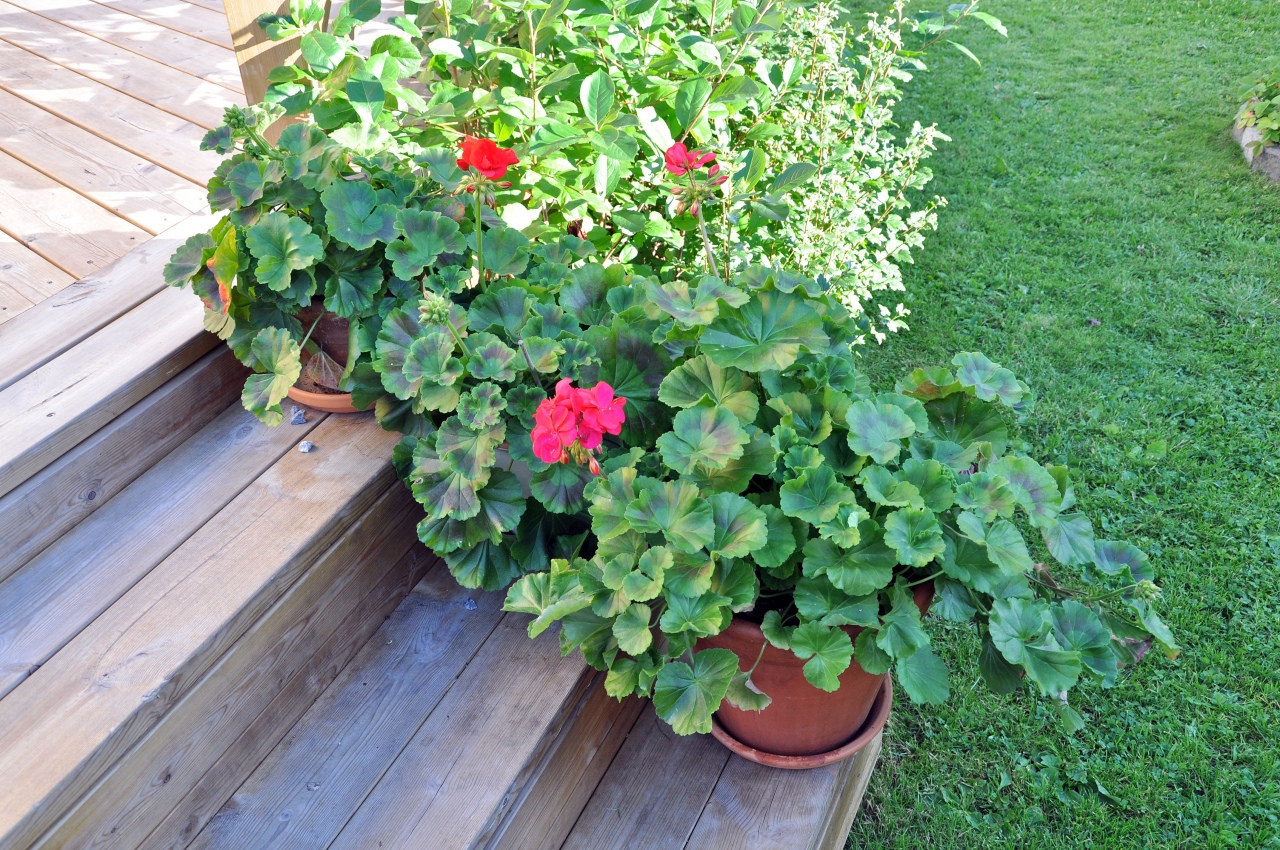20100803-0062